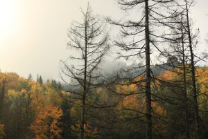 Fotoaktywni 56